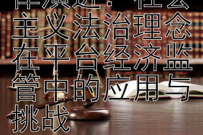 数字经济的法律演进：社会主义法治理念在平台经济监管中的应用与挑战