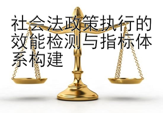 社会法政策执行的效能检测与指标体系构建