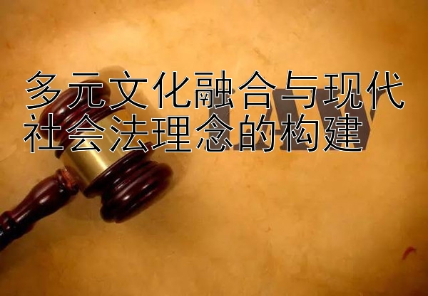 多元文化融合与现代社会法理念的构建