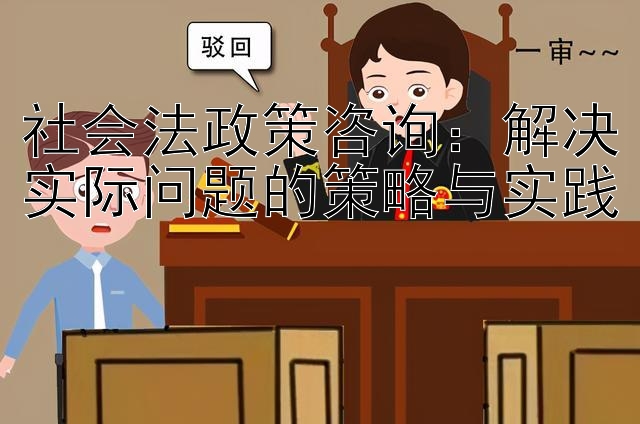 社会法政策咨询：解决实际问题的策略与实践