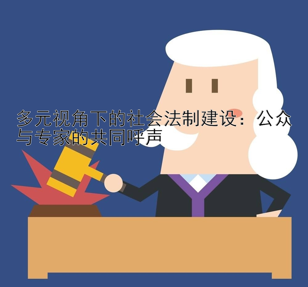 多元视角下的社会法制建设：公众与专家的共同呼声