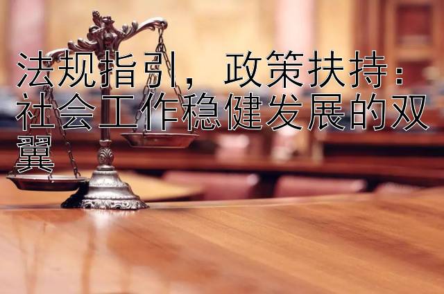 法规指引，政策扶持：社会工作稳健发展的双翼