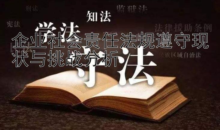 企业社会责任法规遵守现状与挑战分析