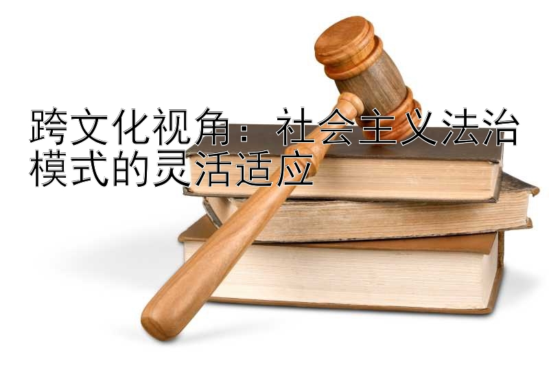 跨文化视角：社会主义法治模式的灵活适应