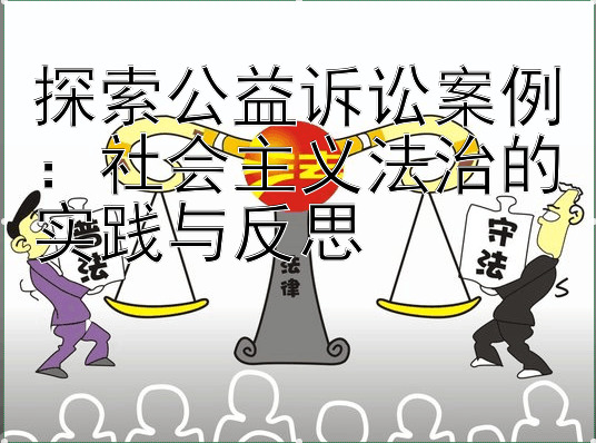 探索公益诉讼案例：社会主义法治的实践与反思