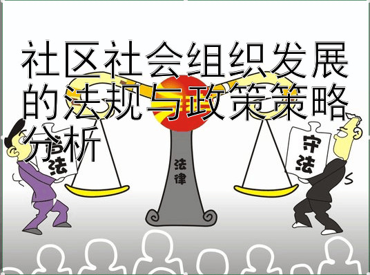 社区社会组织发展的法规与政策策略分析