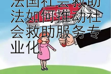 法国社会救助法如何推动社会救助服务专业化