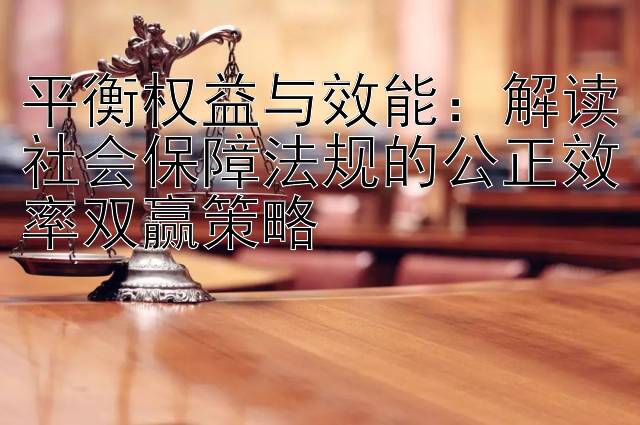 平衡权益与效能：解读社会保障法规的公正效率双赢策略