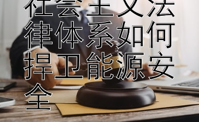 双重保障：社会主义法律体系如何捍卫能源安全