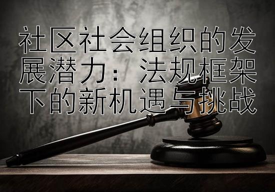 社区社会组织的发展潜力：法规框架下的新机遇与挑战