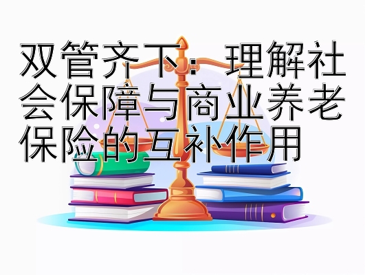 双管齐下：理解社会保障与商业养老保险的互补作用