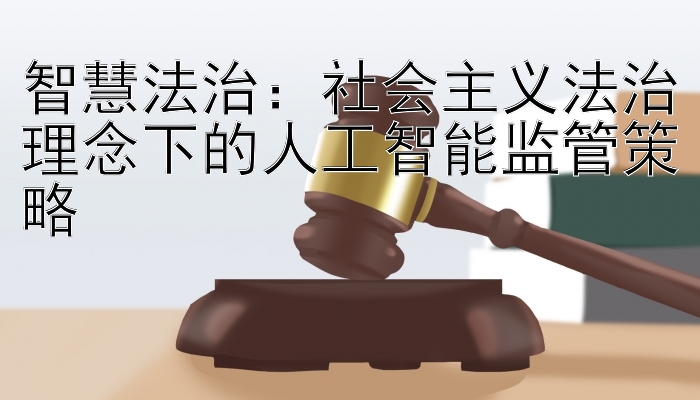 智慧法治：社会主义法治理念下的人工智能监管策略