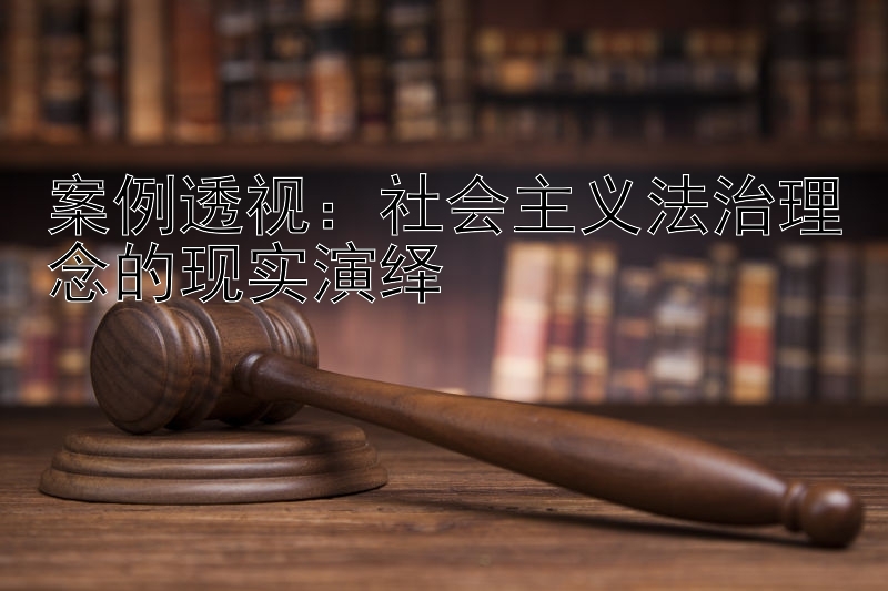 案例透视：社会主义法治理念的现实演绎