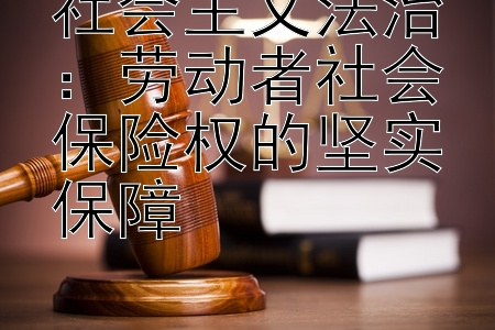 社会主义法治：劳动者社会保险权的坚实保障