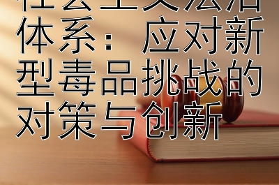 社会主义法治体系：应对新型毒品挑战的对策与创新