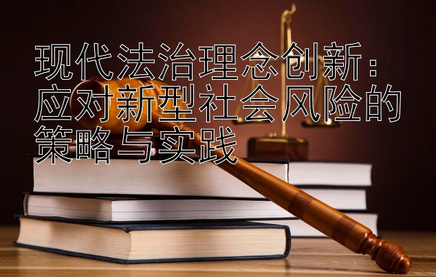 现代法治理念创新：应对新型社会风险的策略与实践