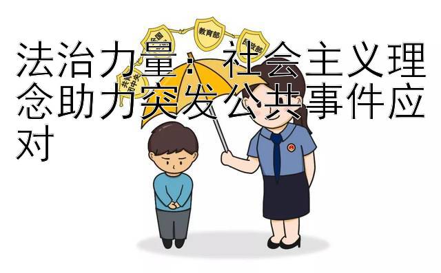 法治力量：社会主义理念助力突发公共事件应对