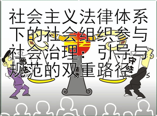 社会主义法律体系下的社会组织参与社会治理：引导与规范的双重路径