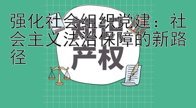 强化社会组织党建：社会主义法治保障的新路径