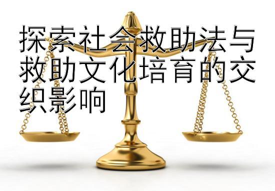 探索社会救助法与救助文化培育的交织影响