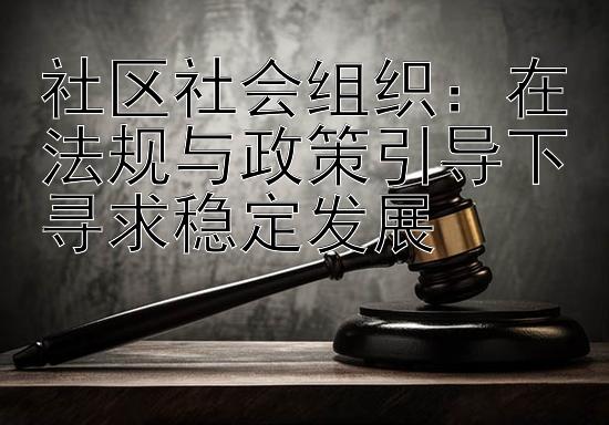 社区社会组织：在法规与政策引导下寻求稳定发展