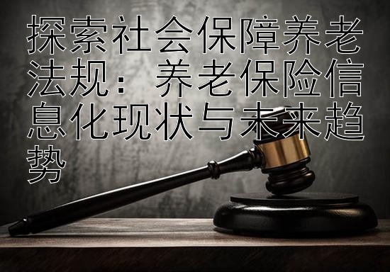 探索社会保障养老法规：养老保险信息化现状与未来趋势