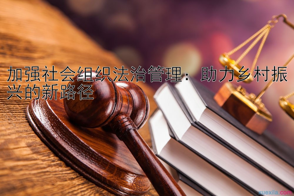 加强社会组织法治管理：助力乡村振兴的新路径