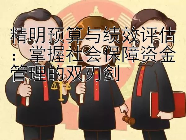 精明预算与绩效评估：掌握社会保障资金管理的双刃剑