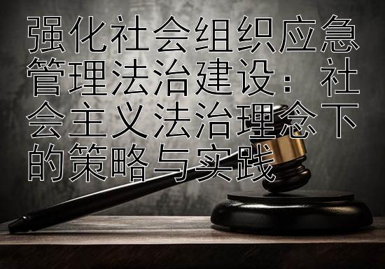 强化社会组织应急管理法治建设：社会主义法治理念下的策略与实践