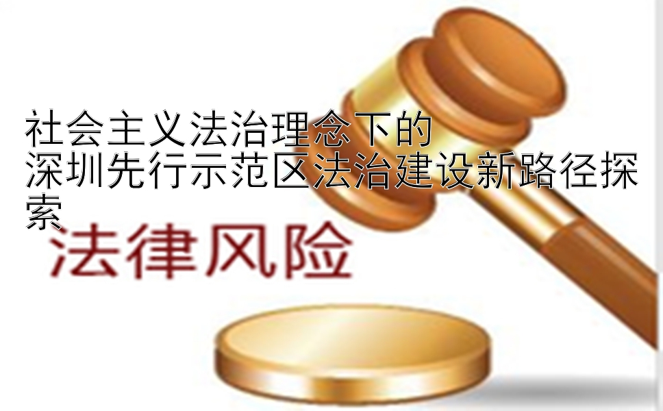 社会主义法治理念下的  
深圳先行示范区法治建设新路径探索