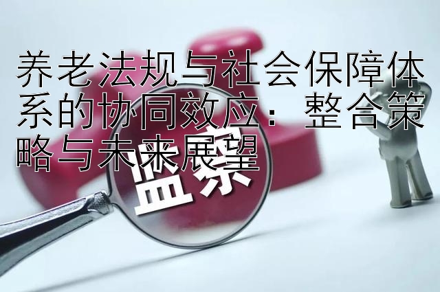 养老法规与社会保障体系的协同效应：整合策略与未来展望