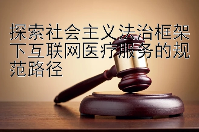 探索社会主义法治框架下互联网医疗服务的规范路径