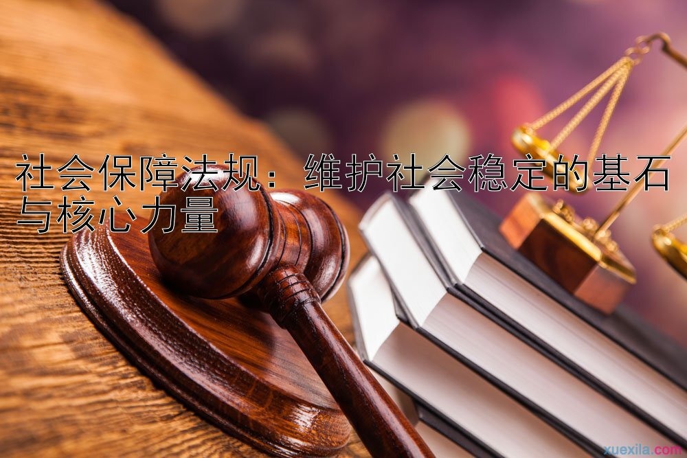 社会保障法规：维护社会稳定的基石与核心力量