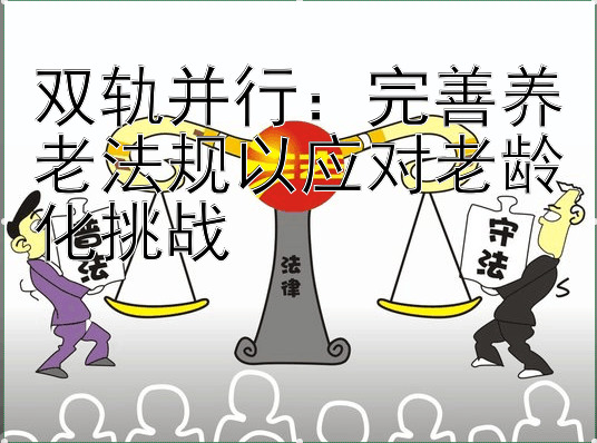 双轨并行：完善养老法规以应对老龄化挑战