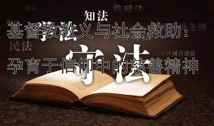 基督教教义与社会救助：  
孕育于信仰中的慈善精神