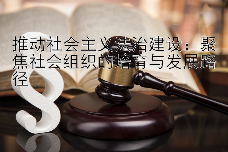 推动社会主义法治建设：聚焦社会组织的培育与发展路径