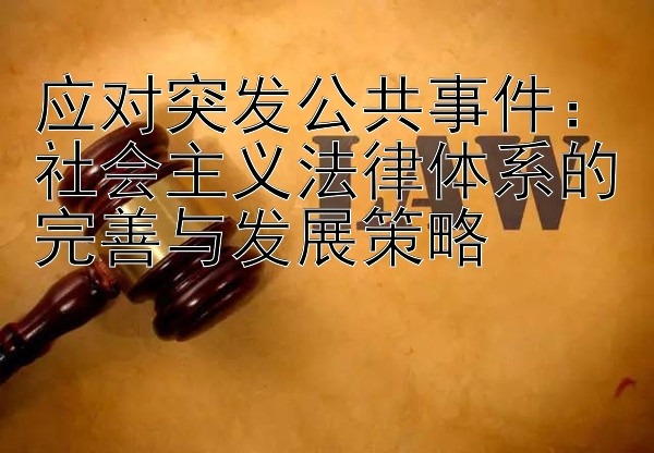 应对突发公共事件：社会主义法律体系的完善与发展策略