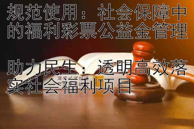 规范使用：社会保障中的福利彩票公益金管理  助力民生：透明高效落实社会福利项目