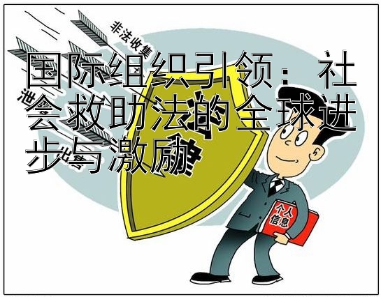 国际组织引领：社会救助法的全球进步与激励