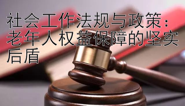 社会工作法规与政策：老年人权益保障的坚实后盾